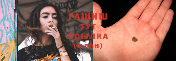 индика Киренск