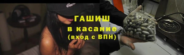 индика Киренск