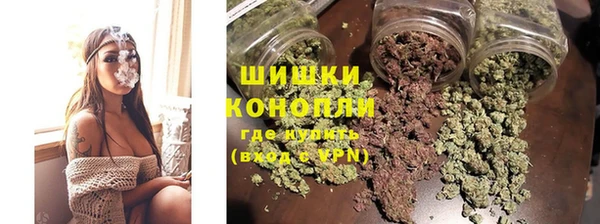 индика Киренск