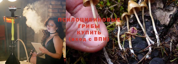 дмт Кинешма