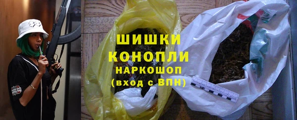 индика Киренск