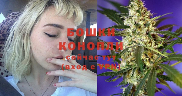 индика Киренск