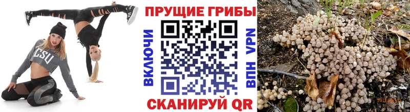 Псилоцибиновые грибы GOLDEN TEACHER  как найти наркотики  Артём 